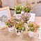 6-Piece Artificial Flowers in Ceramic Pots – Faux Spring Flower Arrangements, Small Vases for Easter, Farmhouse Home, Office, and Table Centerpiece Decor